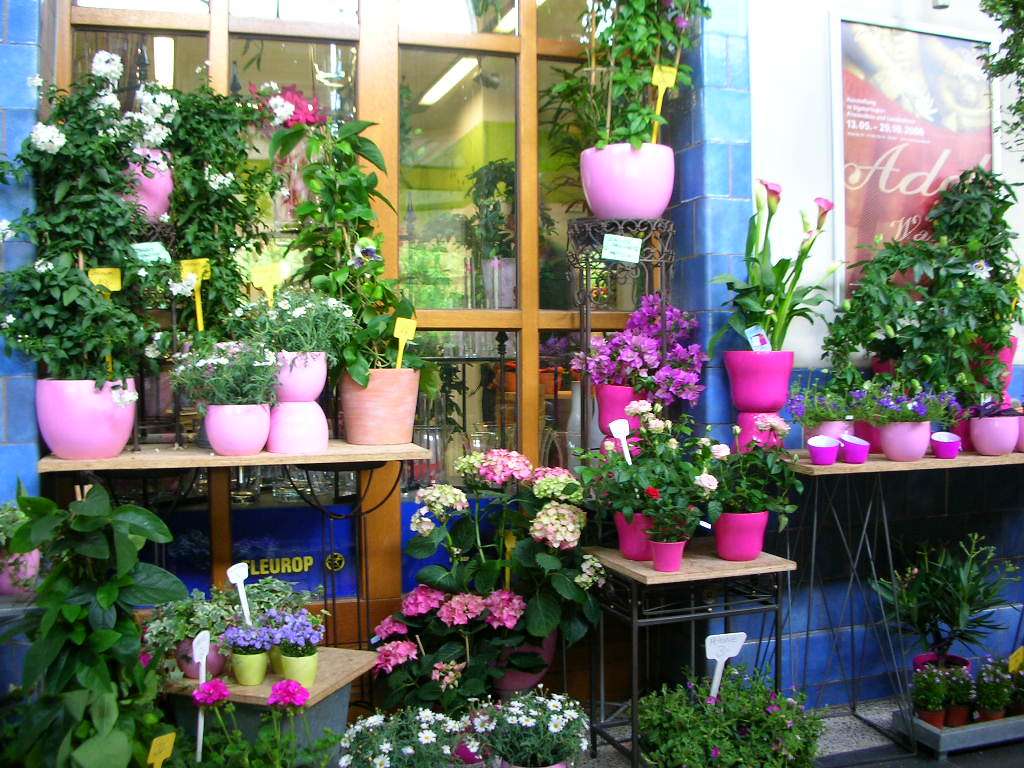 Blomsterbutik i Tübingen Pussel online