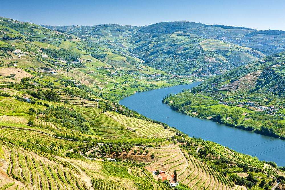 vingårdar i Portugal pussel på nätet