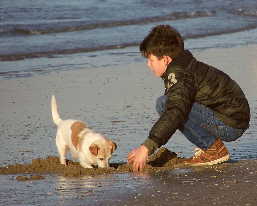 παίζοντας με ένα σκυλί στην παραλία παζλ online