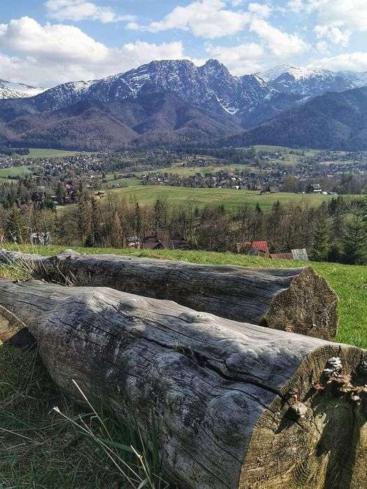 Vista das Montanhas Tatra. puzzle online