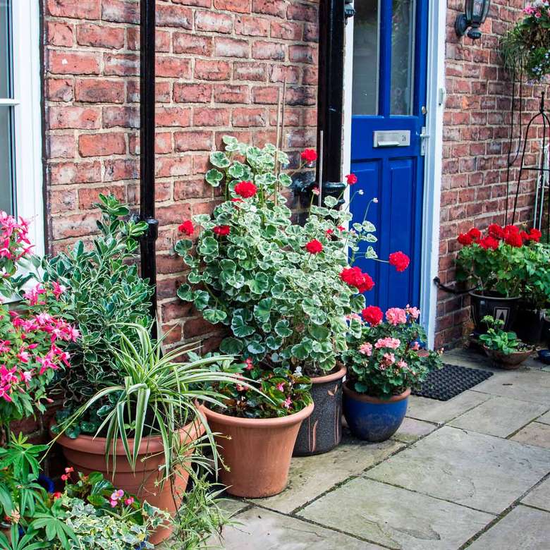 Вход в дом с цветами и растениями пазл онлайн