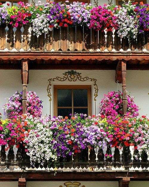 Abbondanza di fiori sui balconi puzzle online