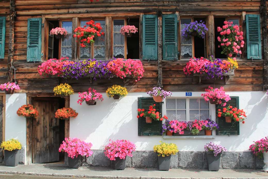 Abundância de flores coloridas na casa quebra-cabeças online