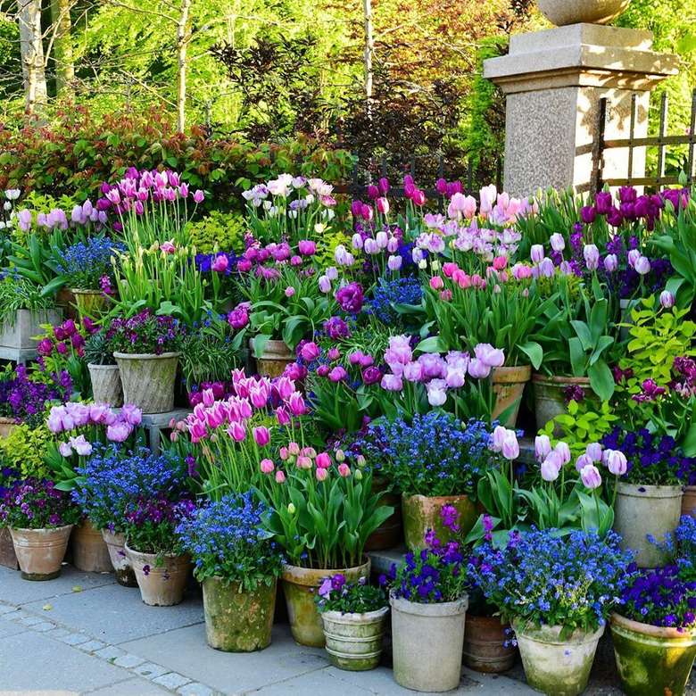 Abundance of flowers in plant pots jigsaw puzzle online