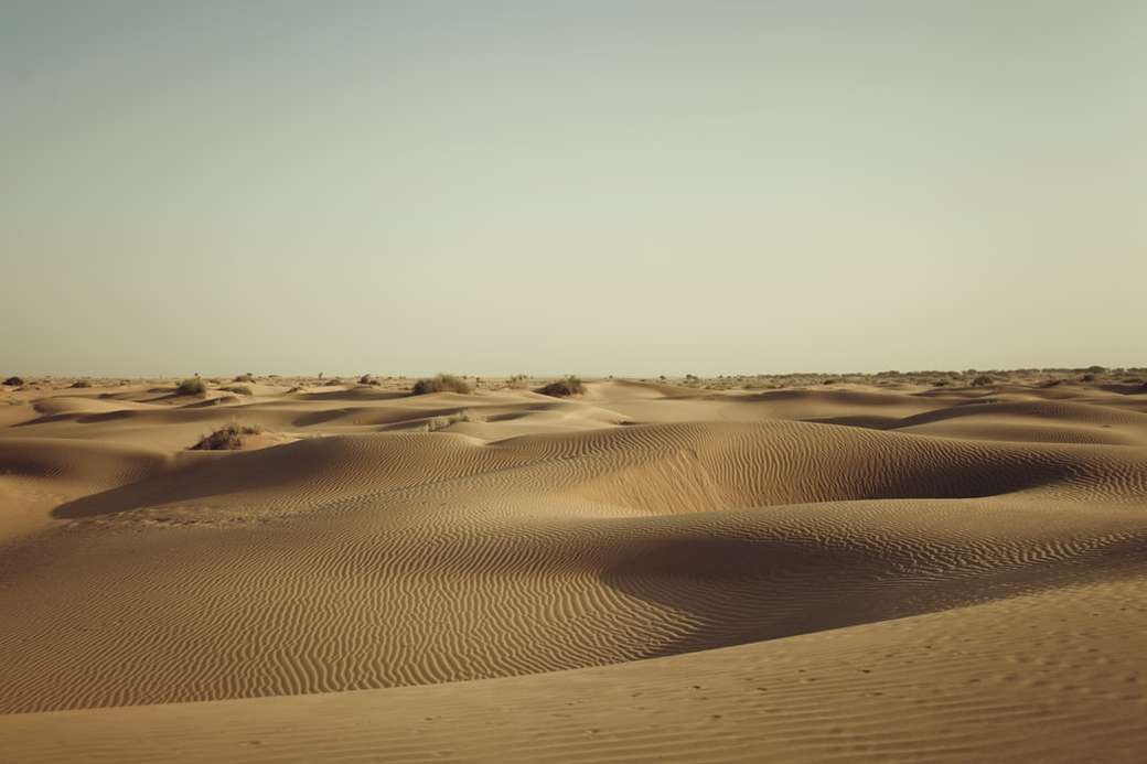 close-up foto van woestijn online puzzel