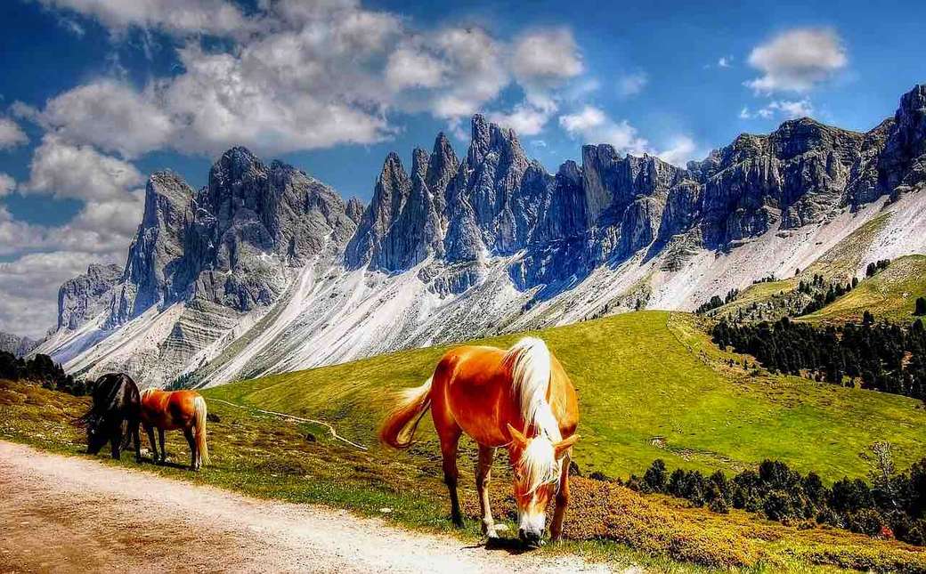 Wilde paarden in de Dolomieten legpuzzel online