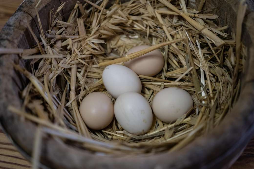 cinco huevos blancos en el nido rompecabezas en línea