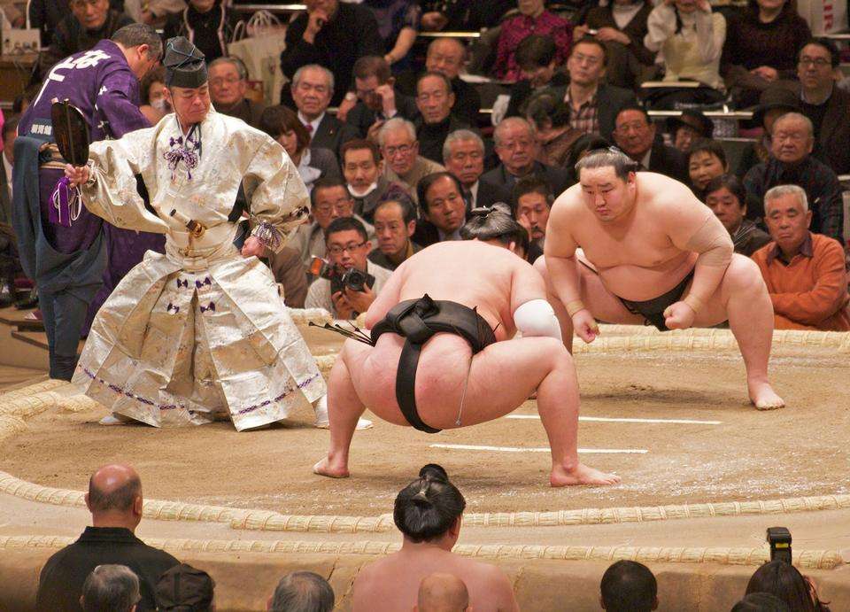 combat de sumo puzzle en ligne
