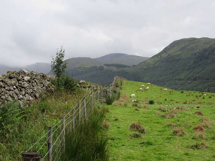 Scottish pasture online puzzle