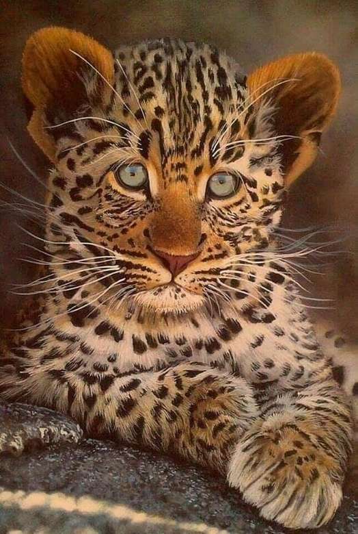 bebê tigre puzzle online