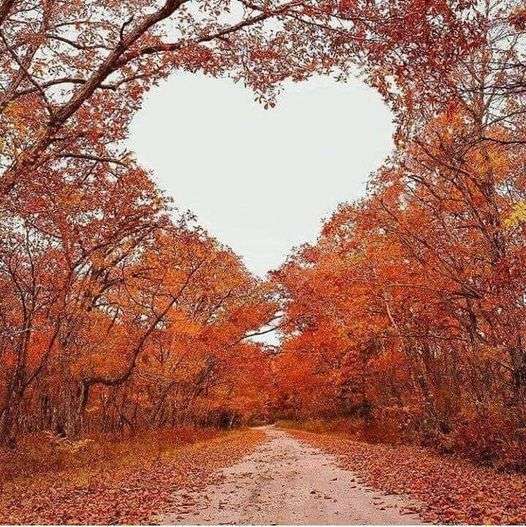 coeur d'automne dans le ciel puzzle en ligne