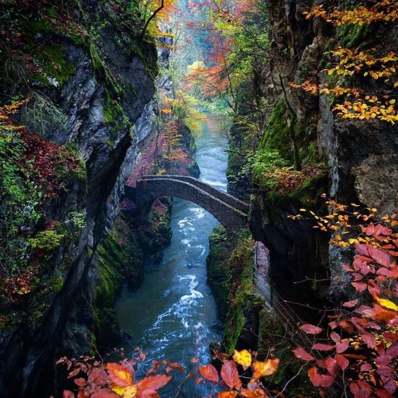 bridge over stream with autumn leaves jigsaw puzzle online