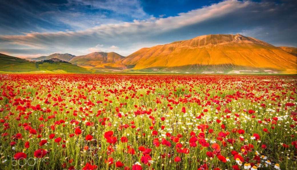 Castelluccio Kleurrijke velden van bloemen Umbrië Italië online puzzel