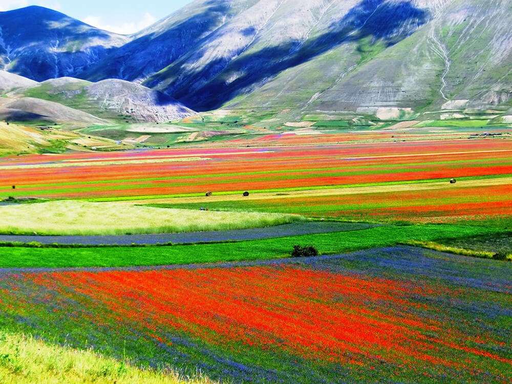 Кастеллуччо Разноцветные поля цветов Умбрия Италия пазл онлайн
