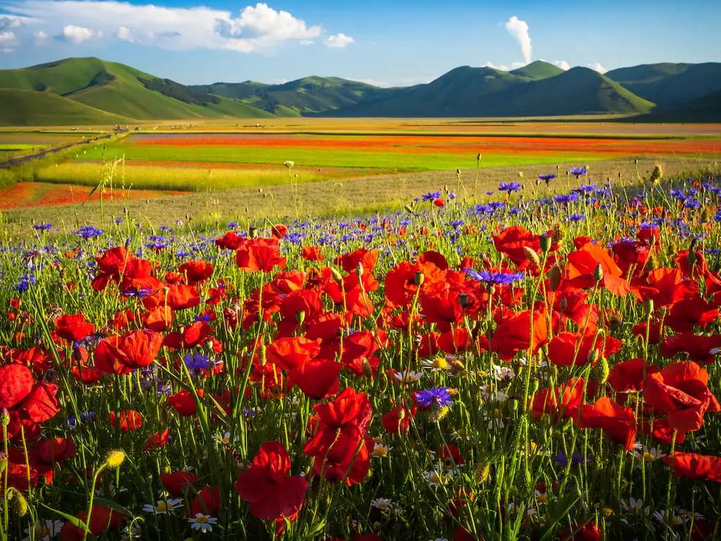 Кастеллуччо Разноцветные поля цветов Умбрия Италия пазл онлайн