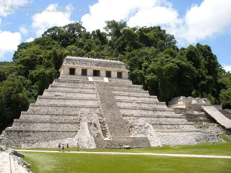 Zona arqueológica de Chiapas rompecabezas en línea