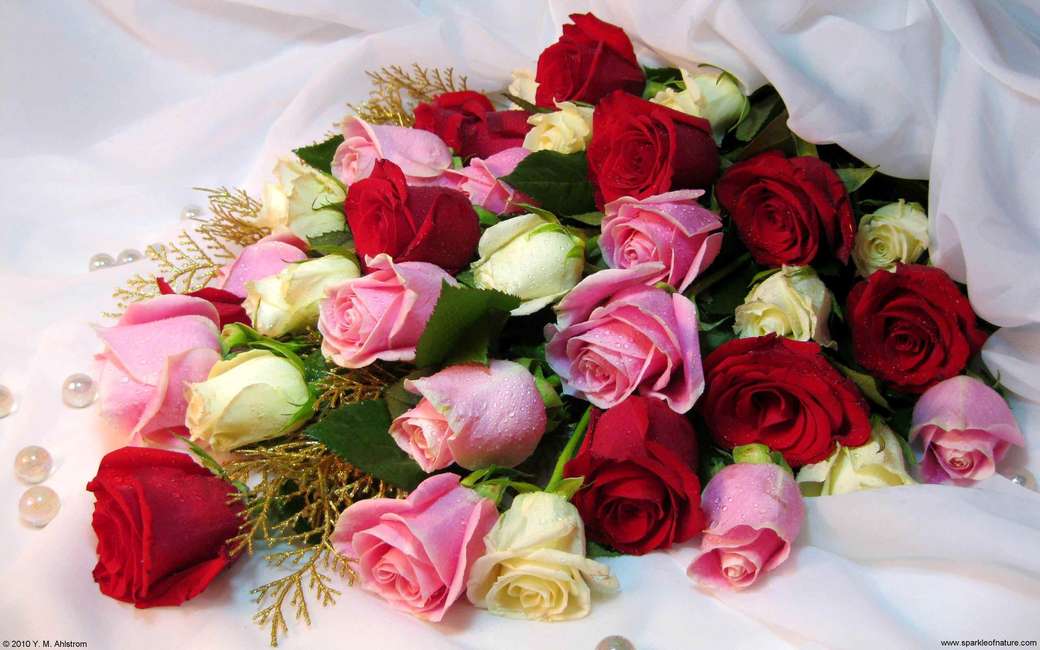 Roses...... jigsaw puzzle online