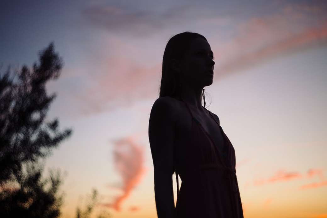 Silhouet vrouw staande zonsondergang legpuzzel online