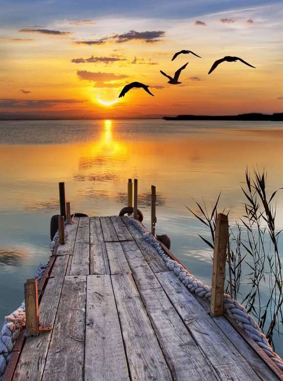 Solnedgång på sjön pussel på nätet