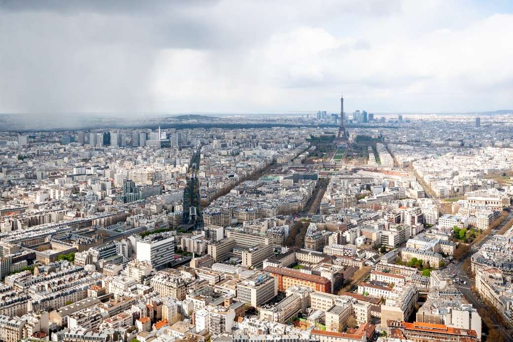 Vedere a Parisului din Turnul Montparnasse. jigsaw puzzle online