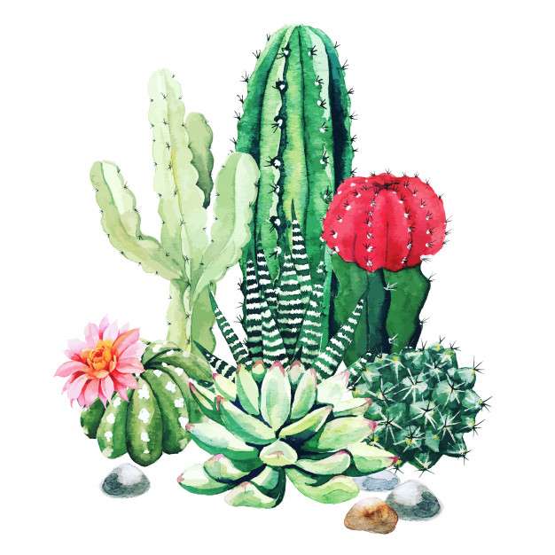 Sivatagi kaktusz online puzzle