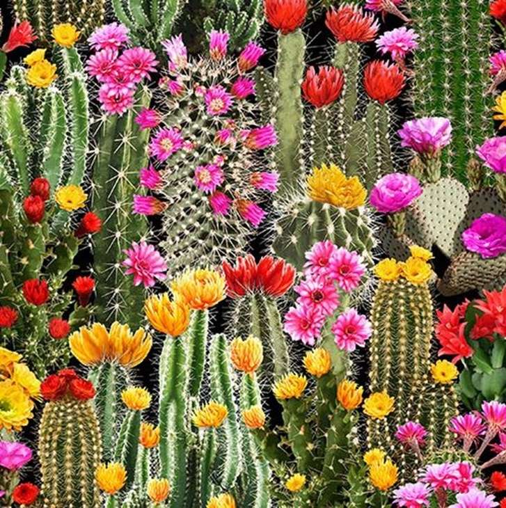 kaktus s květinami online puzzle