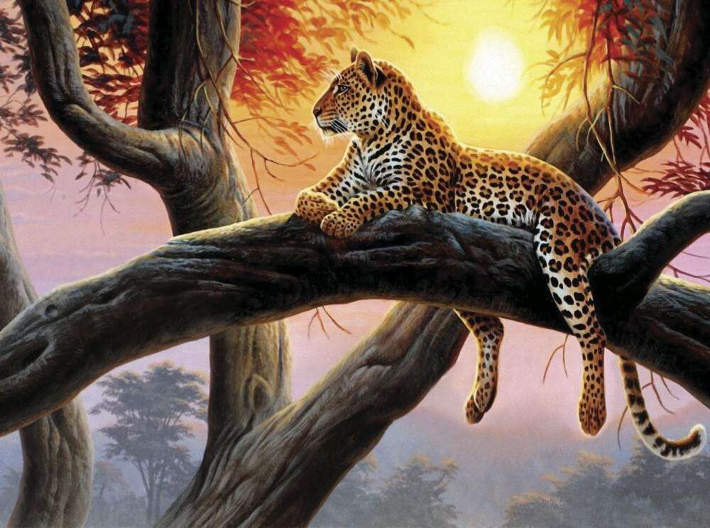 Leopardo. quebra-cabeças online