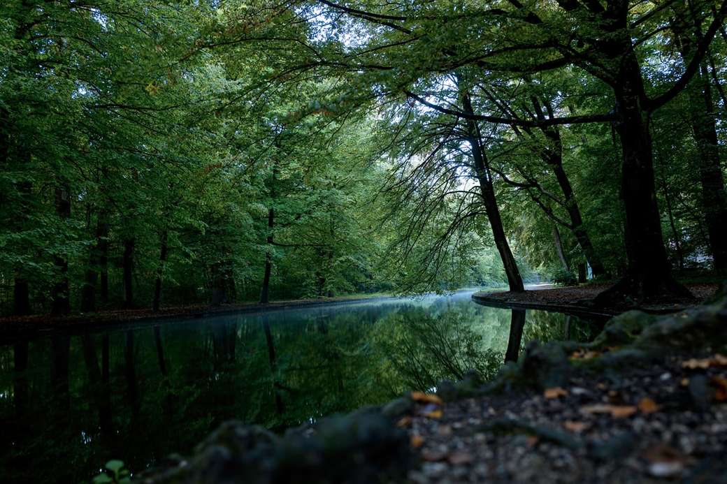 nyugodt víztömeg a fák között online puzzle