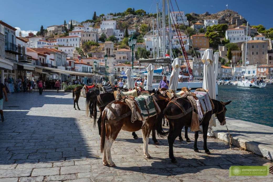 Grecia con burros rompecabezas en línea