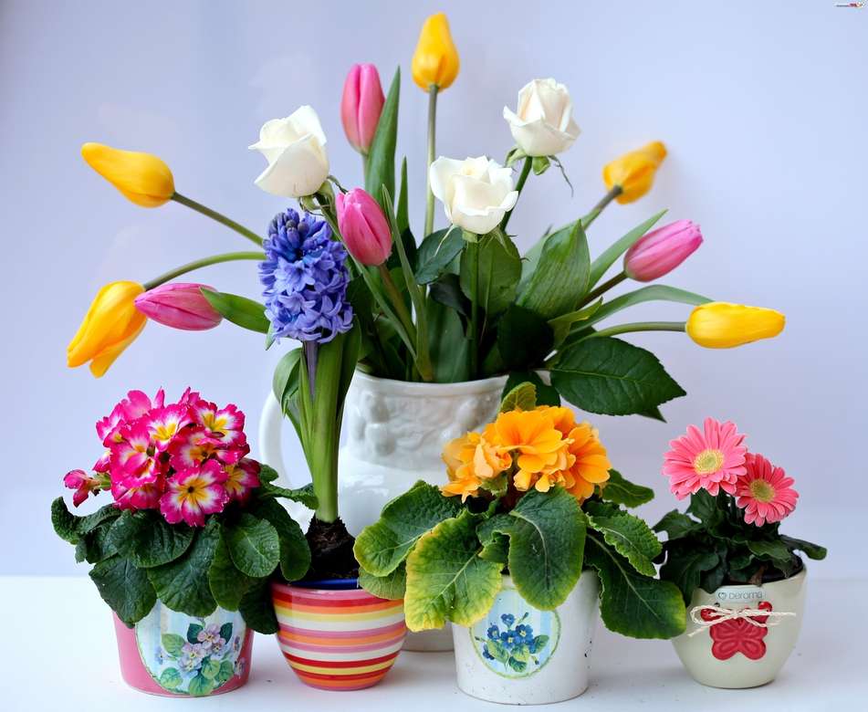 Саксии с различни цветя онлайн пъзел