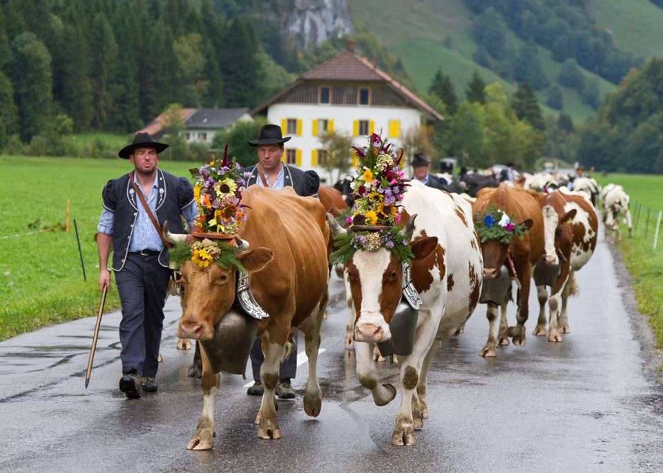 Швейцарія - свято пазл онлайн