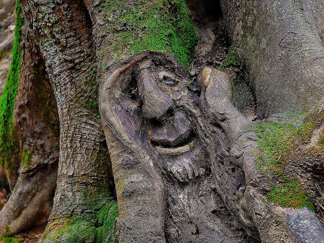 Uma criatura arbórea na floresta quebra-cabeças online