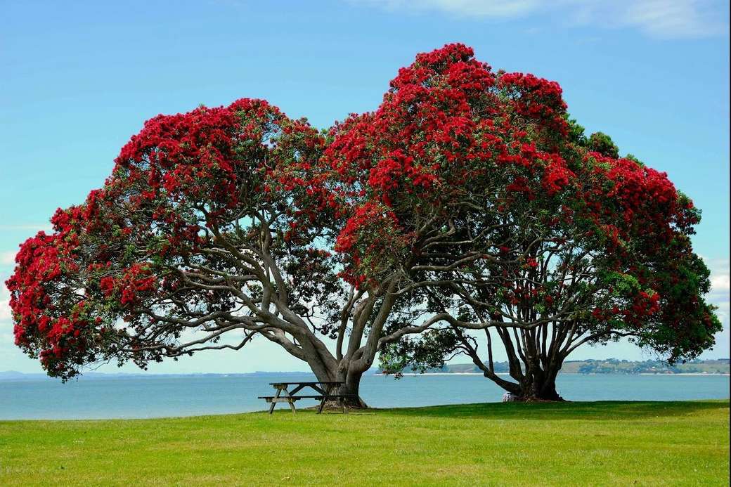 Червени цъфтящи дървета край езерото онлайн пъзел