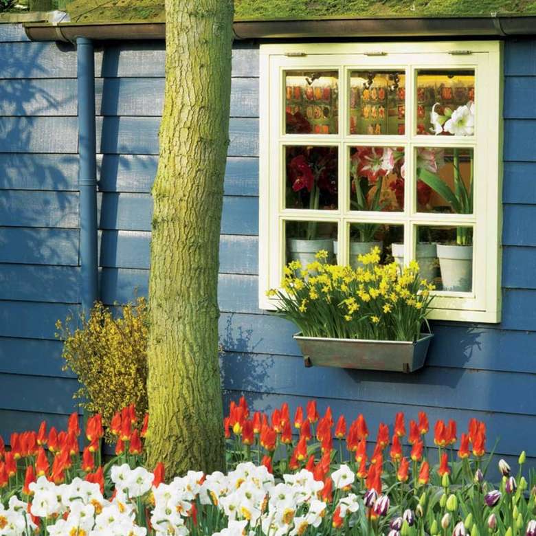 Blauw houten huis versierd met bloemen online puzzel