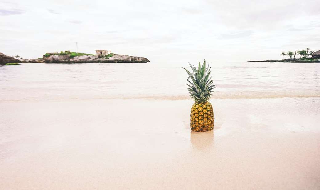 pineapple on the seashore photography online puzzle