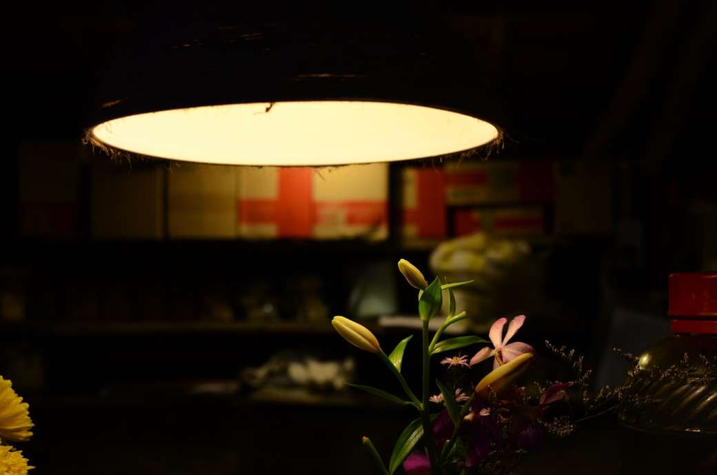 fotografia de foco seletivo de orquídea puzzle online