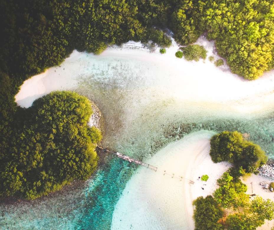nagy látószögű fényképezés a víztömeg fák közelében online puzzle