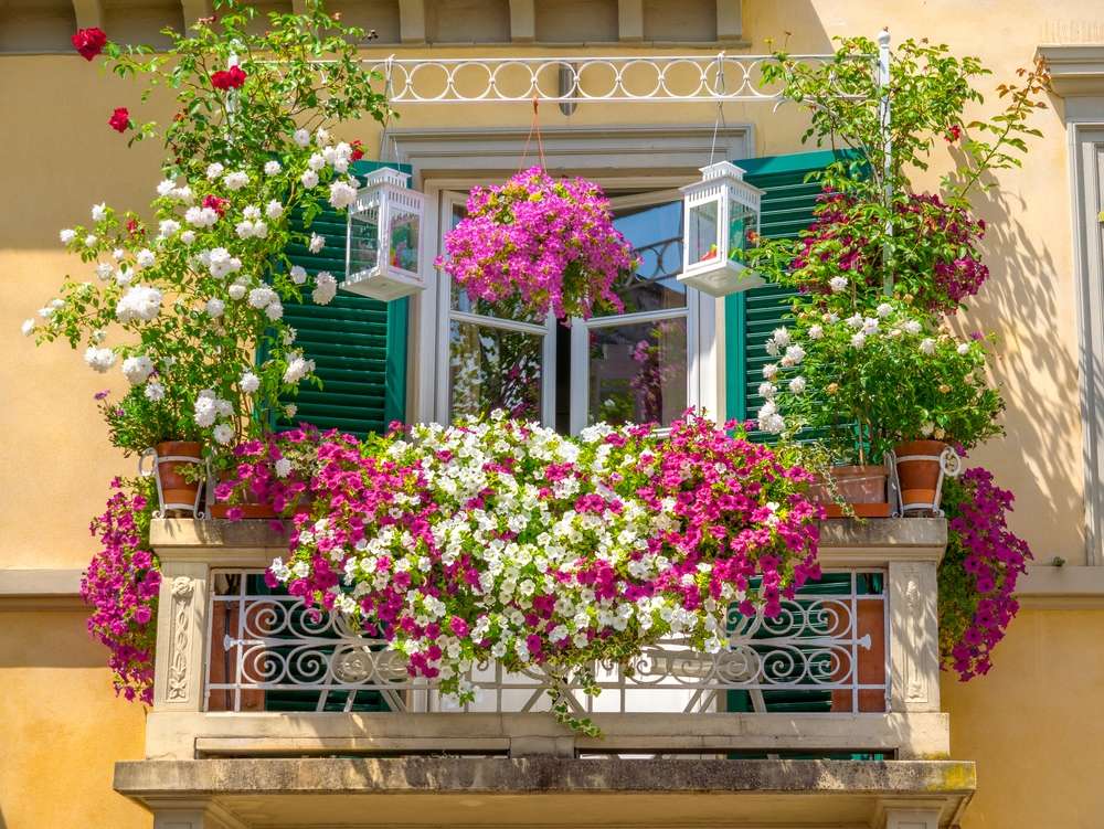 Blommor på balkongen Pussel online