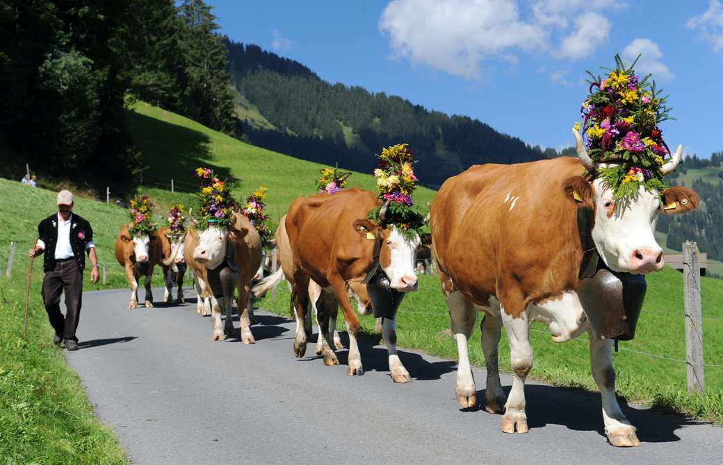 Feest in de Alpen legpuzzel online