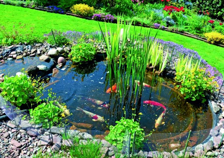 Gartenblick auf den Teich Online-Puzzle