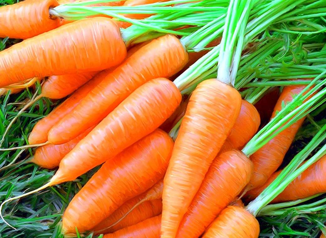 Морковь онлайн-пазл
