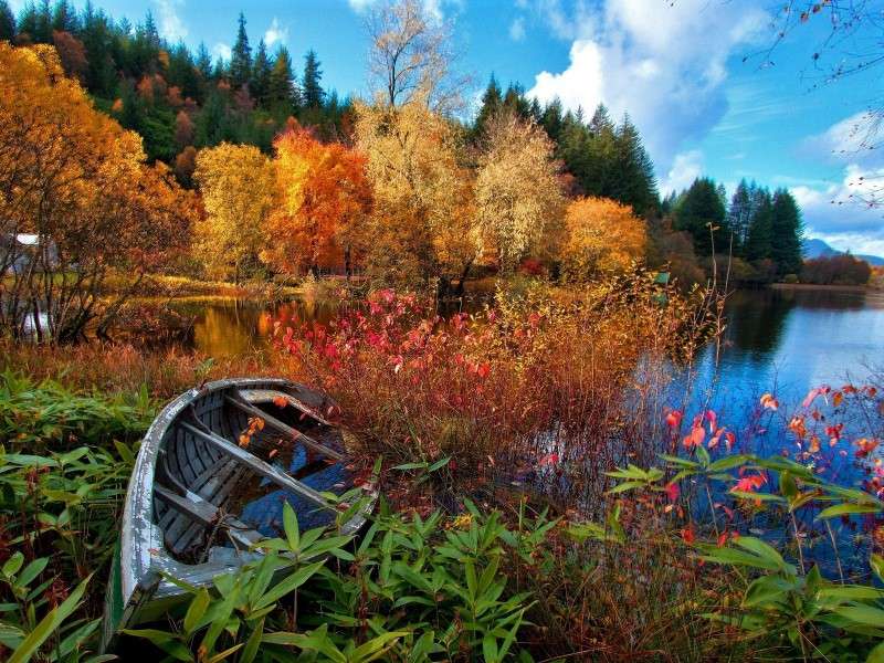 Old Boat And Lake jigsaw puzzle online