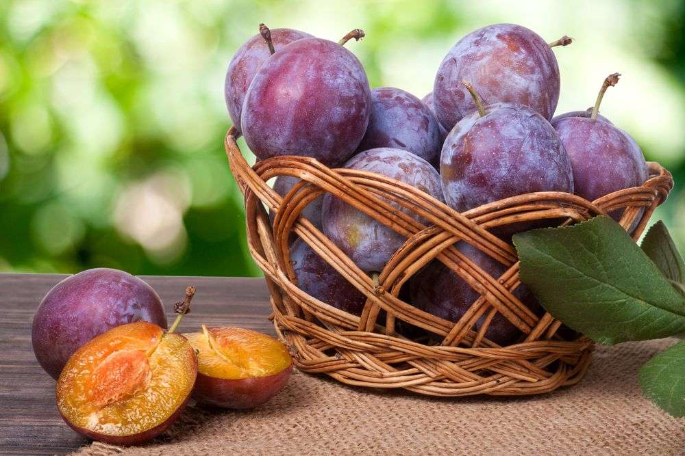 Plums ... jigsaw puzzle online