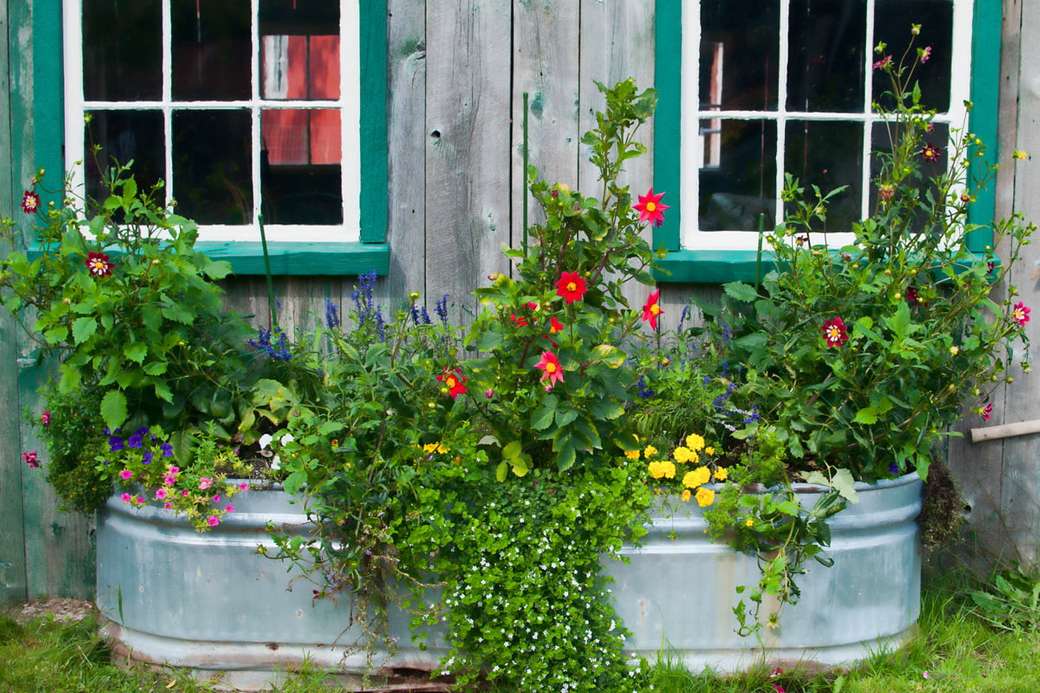 Zinková vana s rostlinami před domem online puzzle