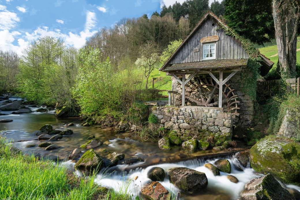 Old mill in the Black Forest jigsaw puzzle online