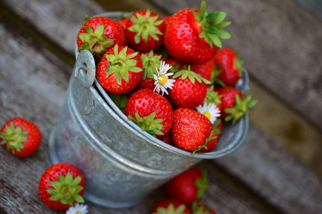 Récolte de fraises puzzle en ligne