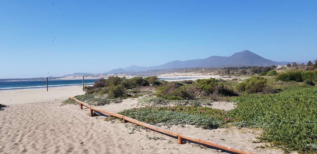 Pichidangui-strand in Chili online puzzel