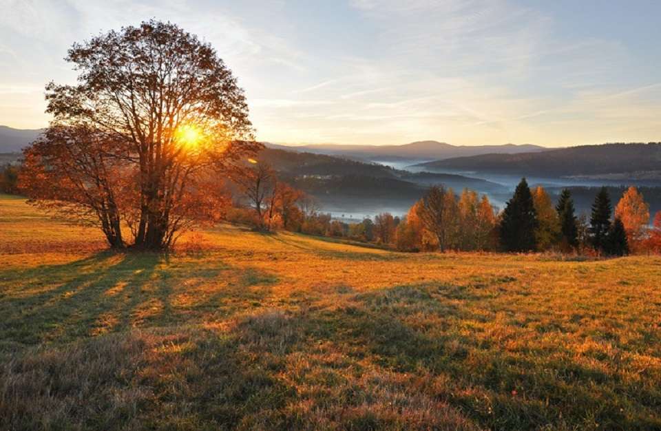 Fog over the valley. jigsaw puzzle online