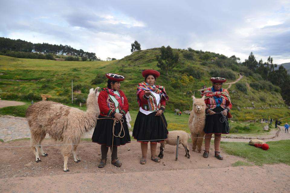 Peruansk grupp med en lama Pussel online