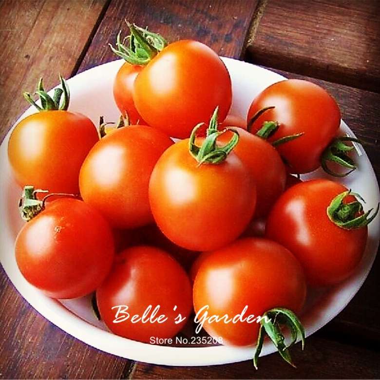 пресен домат онлайн пъзел